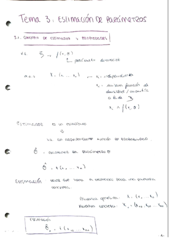 T3. Estimación de parámetros .pdf