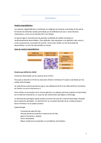hematologia 4.pdf