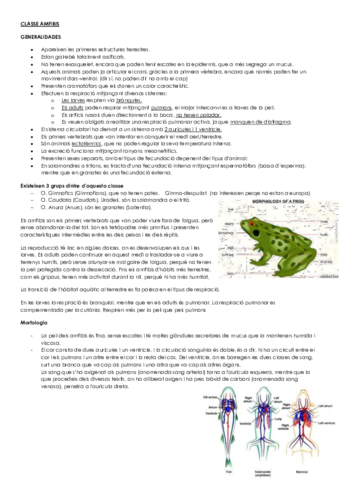 CLASSE AMFIBIS.pdf