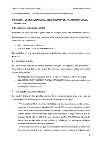 RESUMEN LIBRO ESTRUCTURA SOCIAL.pdf