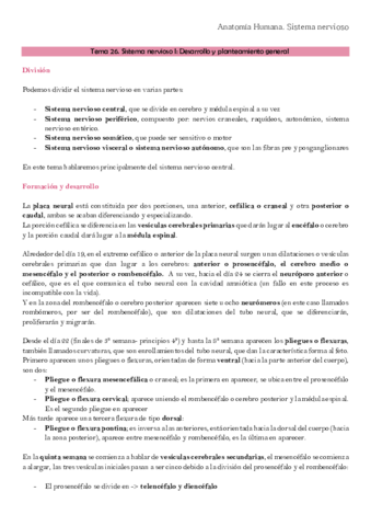 Anatomía TEMA 26 Y 27 NERVIOSO I Y II.pdf