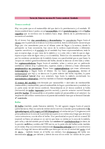 Anatomía TEMA 28- 29, 30 y 31 NERVIOSO.pdf