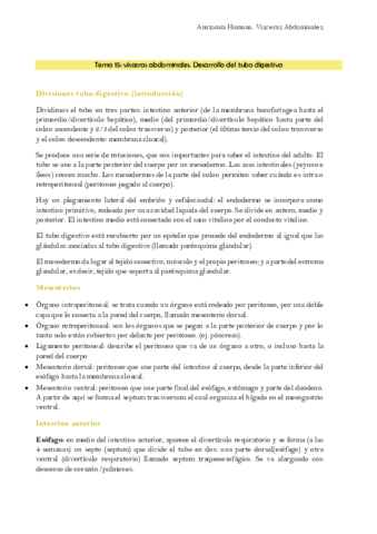 Anatomia TEMA 15-16,17 y 18 ABDOMINALES.pdf