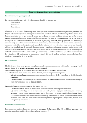 Anatomia TEMA 24- 25 SENTIDOS.pdf