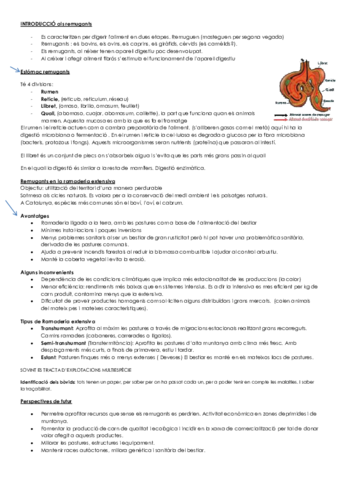 INTRODUCCIÓ als remugants.pdf