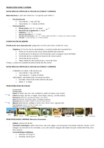 PRODUCCIÓN OVINA Y CAPRINA.pdf