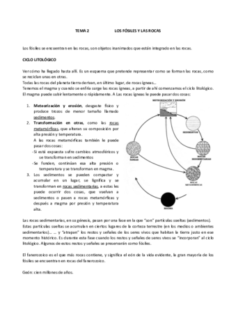TEMA 2 LOS FÓSILES Y LAS ROCAS.pdf