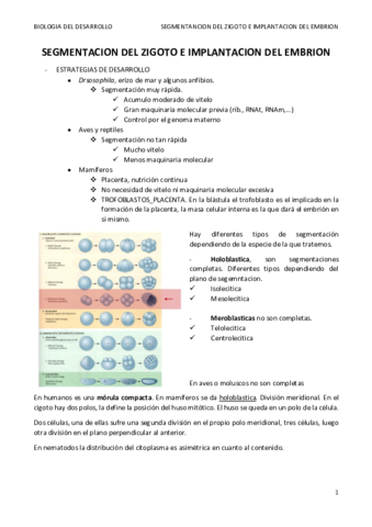 TEMA 6. SEGMENTACION.terminado.pdf