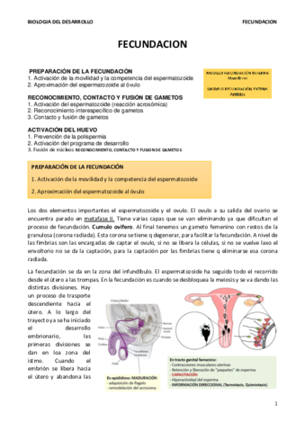 TEMA 5. FECUNDACION.terminado.pdf