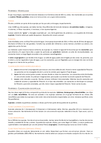 Examen preguntas.pdf