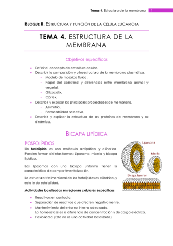 Tema 4.pdf