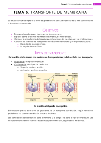 Tema 5.pdf