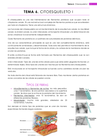 Tema 6.pdf