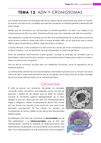 Tema 13.pdf