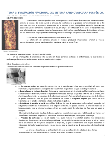 Tema 3 Bloque 3.pdf