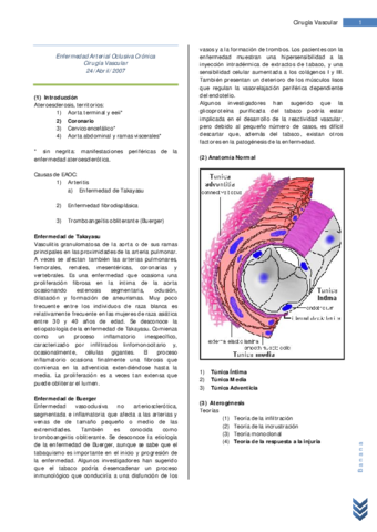 17 Resumen EAOC.pdf