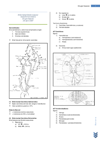 18 Resumen Enfermedad Cerebrovascular de Causa Extracraneana.pdf