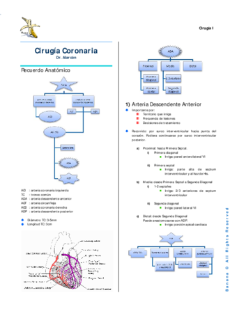 13 Resumen Cirugía Coronaria.pdf