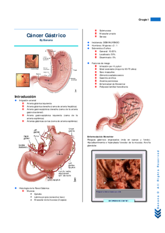 Resumen Cáncer Gástrico.pdf