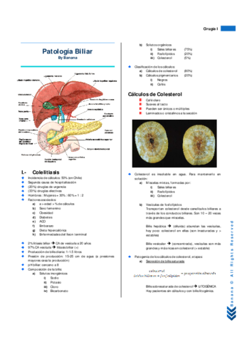 Resumen Patología Biliar.pdf