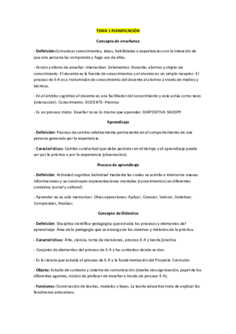 TEMARIO PLANIFICACION.pdf