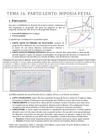 TEMA 16.pdf