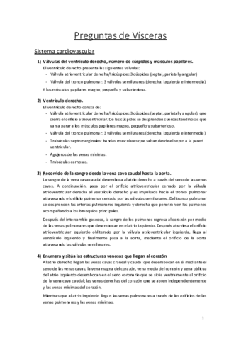 Preguntas de Vísceras.pdf