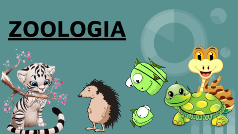 Zoologia Visu.pdf