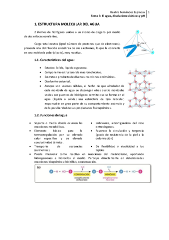 Tema 3_Agua disoluciones y pH.pdf