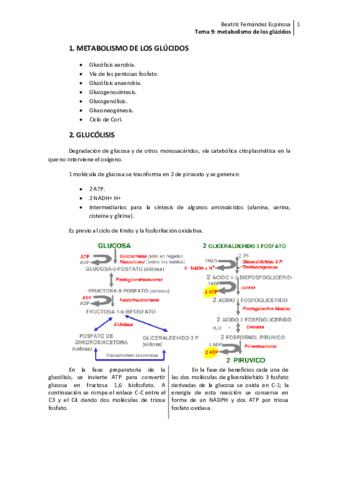 Tema 9_Metabolismo de los glúcidos.pdf