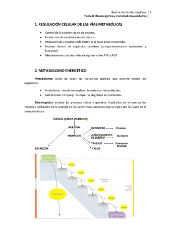 Tema 8_Bioenergética y metabolismo oxidativo.pdf