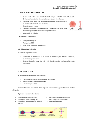 Tema 16_Fisiología del eritrocito.pdf