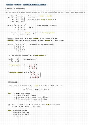 Lección 3. Matrices y sistemas de ecuaciones lineales.pdf