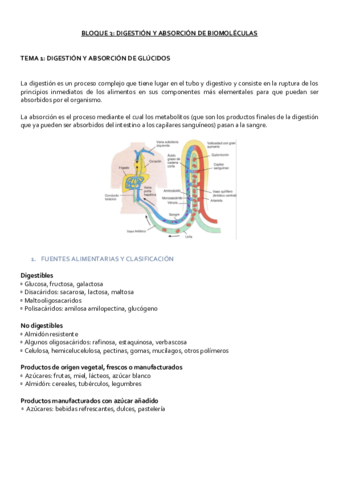 BLOQUE 3. DIGESTIÓN Y ABSORCIÓN DE BIOMOLÉCULAS.pdf