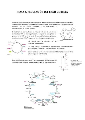 Tema 4. Regulación del Ciclo de Krebs.pdf