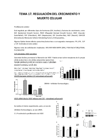 Tema 17. Regulación del Crecimiento y Muerte Celular.pdf