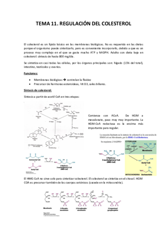 Tema 11. Regulación del Colesterol.pdf