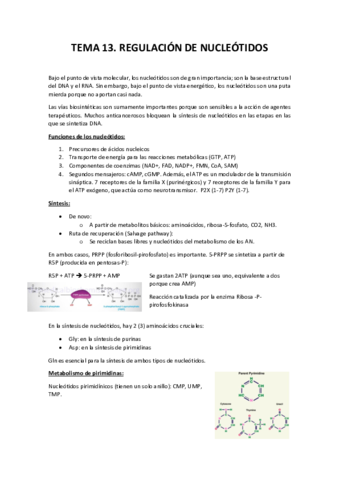 Tema 13. Regulación de Nucleótidos.pdf