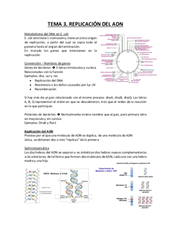 Replicación del ADN.pdf