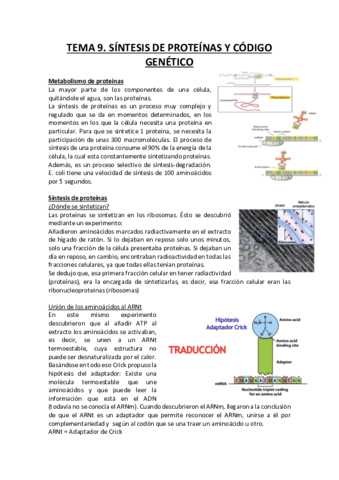 Síntesis de Proteínas y código genético.pdf