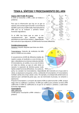 Transcripción del ADN.pdf