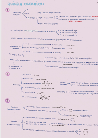 Resumen esquemático + Reacciones.pdf