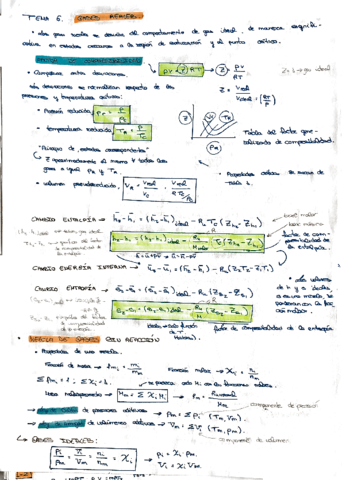 resumen t6.pdf