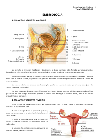 Tema 3_Embriología.pdf