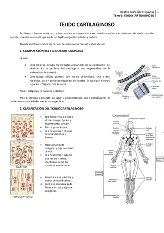 Tema 6_Tejido cartilaginoso.pdf