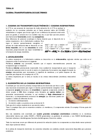 Tema 10.pdf