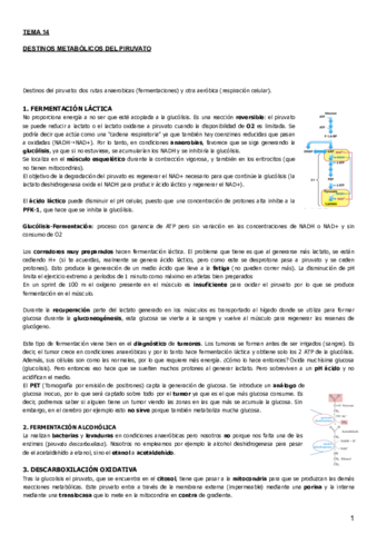 Tema 14.pdf