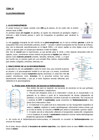Tema 16.pdf