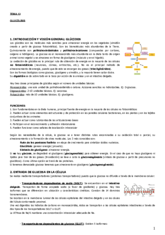 Tema 13.pdf