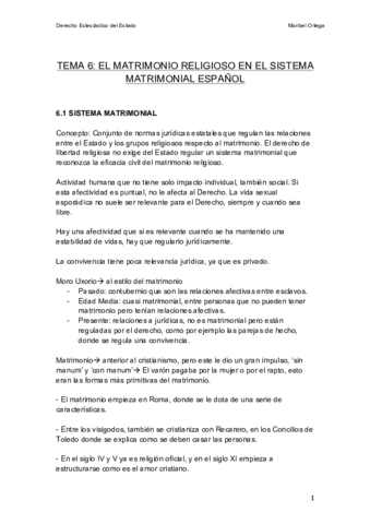 TEMA 6.pdf